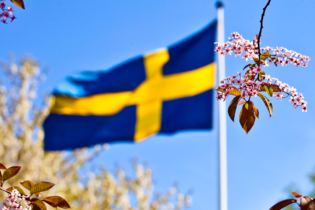 Blommande grenar med svenska flaggan i bakgrunden.
