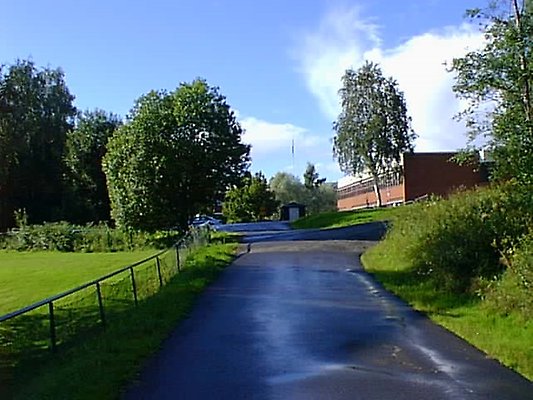 En gångväg, omgiven av gröna gräsmattor och träd i somrig eftermiddagssol, leder upp till Vibackeskolan som ligger på höger sida.
